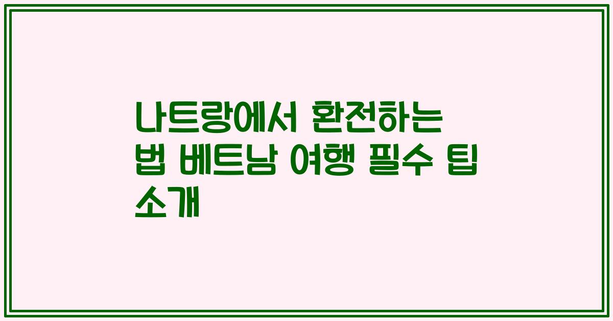 나트랑에서 환전하는 법 베트남 여행 필수 팁 소개