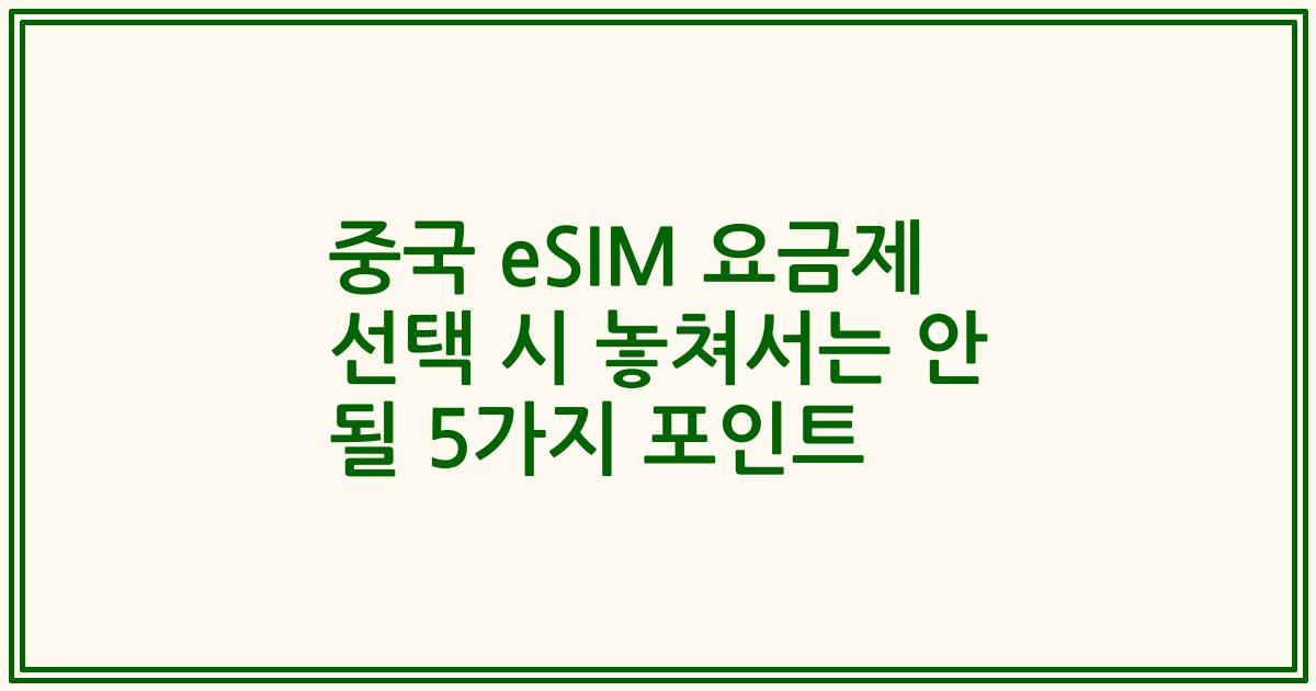 중국 eSIM 요금제 선택 시 놓쳐서는 안 될 5가지 포인트